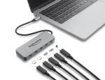 DELOCK 2 Port USB 10Gbps Hub & 2 Port USB-C 4K PD 3.0 100W