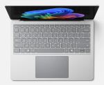 Microsoft Surface Laptop8 13,8" X2Elite/32GB/1TB DE Pl EMEA W11P