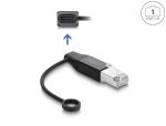 DELOCK USB-C Netzwerk Adapter Gigabit LAN 1x RJ45 Stecker