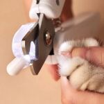 PETKIT PK-N1 Krallenschere