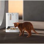 Petkit Futterautomat YumShare Dual-Hopper 2 mit Kamera