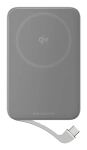 EcoFlow EF-RAPID5000-EU Powerbank Lithium-Ion (Li-Ion) 5000 mAh Kabelloses Aufladen Silber