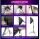 NEEWER NK800 RGB Softbox | 2-Pack