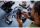 LEGO - Marvel - Black Panther - 76215