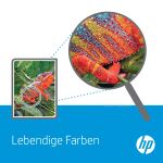 HP Q3658A Drucker-Kit Transfer-Set