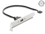 DELOCK USB 2.0 Slotblech mit 1 x EASY USB Typ-A Port