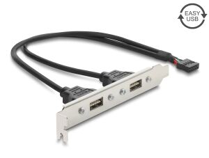 DELOCK USB 2.0 Slotblech mit 2 x EASY USB Typ-A Port