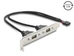 DELOCK USB 2.0 Slotblech mit 2 x EASY USB Typ-A Port