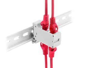 DELOCK RJ45 Kupplung CAT.6A Dual Bu > Bu grau