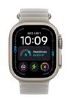 Apple Watch Ultra 4 49mm Titanium Natural Ocean Band LTE