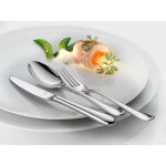 WMF Merit 1140006341 Besteck-Set 66 Stück(e) Edelstahl