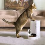 PETKIT YUMSHARE Solo Futter-/Wasserspender für Hunde/Katzen Acrylnitril-Butadien-Styrol (ABS) Weiß Universal Haustierfutterautomat