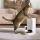 PETKIT YUMSHARE Solo Futter-/Wasserspender für Hunde/Katzen Acrylnitril-Butadien-Styrol (ABS) Weiß Universal Haustierfutterautomat