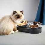 PETKIT PK-F4 Universal Kombinierter Futterautomat mit Tränke für Haustiere