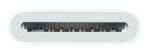 Apple Card Reader USB-C auf SD