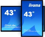 iiyama ProLite TF4338MSC++B-Ware++43" Full HD 24/7 Touch IPS Display schwarz