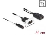 DeLOCK Easy 45 HDMI 4K 60 Hz Modul mit DC Einspeisung 2,1 x 5,5 mm und Kabelpeitsche, 22,5 x 45 mm