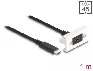 DeLOCK Easy 45 Modul SuperSpeed USB 10 Gbps (USB 3.2 Gen 2) USB Type-C Buchse zu USB Type-C Stecker mit Kabelpeitsche, 22,5 x 45 mm