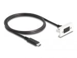DeLOCK Easy 45 Modul SuperSpeed USB 10 Gbps (USB 3.2 Gen 2) USB Type-C Buchse zu USB Type-C Stecker mit Kabelpeitsche, 22,5 x 45 mm