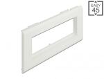 DELOCK Easy 45 Modulträger für Geräteeinbaukanal 175 x 80mm