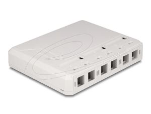 DELOCK Keystone Leergehäuse 6-Port für Glasfaser und Netzwerk weiß