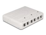 DELOCK Keystone Leergehäuse 6-Port für Glasfaser und Netzwerk weiß