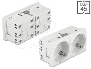 DELOCK Easy 45 Schutzkontakt-Steckdose 45°-Anordnung 2-fach