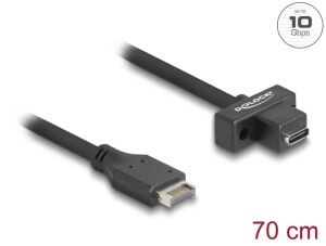 DELOCK USB 10Gbps Kabel Typ-E Key A 20 Pin Stecker > USB-C BU zum Einbau 0,7m