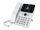 Fanvil V62G White SIP-Phone
