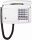 FMN B 122 plus Wand lichtgrau Wandtelefon