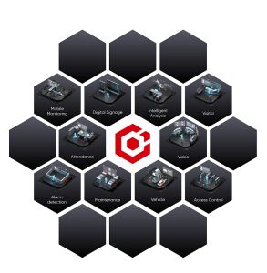 HIKVISION HikCentral-P-VSS-1Ch