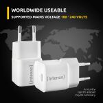 Intenso Power Adapter W30C GaN Doppelpack 2x je 1x USB-C GaN 30 Watt weiß
