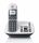Motorola CD5011 Smartphone Anrufer-Identifikation Grau, Silber