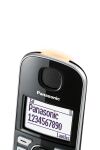 Panasonic KX-TGE510GS silber/schwarz Seniorentelefon/SOS-Taste