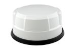 Panorama Antennas LGMDM4-6-60-24-58 LTE/WIFI/GPS/GNSS