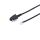 Telefon-Anschlusskabel-TAE N-Stecker > Western-Stecker 6/6 schwarz 6,0m