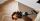 TINECO FLOOR ONE i5 Stretch Nass-/Trockensauger