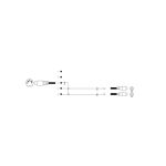 5-pol. DIN-Stecker - 2 Cinchbuchse, 0,2m