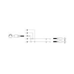 5-pol. DIN-Stecker - 2 Cinchbuchse/Stereo, 0,2m
