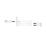 5-pol. DIN-Stecker - 2 Cinchbuchse/Masse, 0,2m