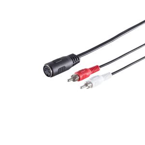 5-pol. DIN-Buchse - 2 Cinchstecker, 0,2m