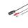 5-pol. DIN-Buchse - 2 Cinchstecker, 0,2m