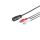 5-pol. DIN-Buchse - 2 Cinchstecker/Masse, 0,2m
