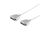 SUB-D Anschlusskabel,2x25-pol. Sub D-Stecker 5,0m