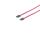 SATA 3Gb/s Verbindungskabel, rot, 0,3m