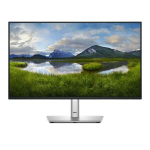 Dell 61.0cm (24") P2425H 16:9 HDMI+DP+USB-C IPS Lift retail