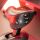 Joystick Thrustm. T.Flight Hotas X (PC/PS3) retail