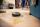 Philips Robot Vacuum Cleaner XU9100 10 Homerun Aqua black Schwarz (XU9100/10)