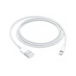 Apple Lightning auf USB 1m Kabel