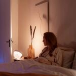 Philips Hue White and Color Ambiance Iris - Dekorationsleuchte